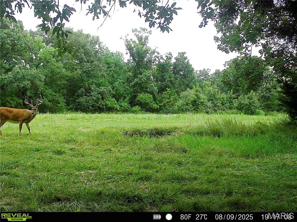 0 Mo-81 Kahoka, MO 63445 - Photo 2 of 77