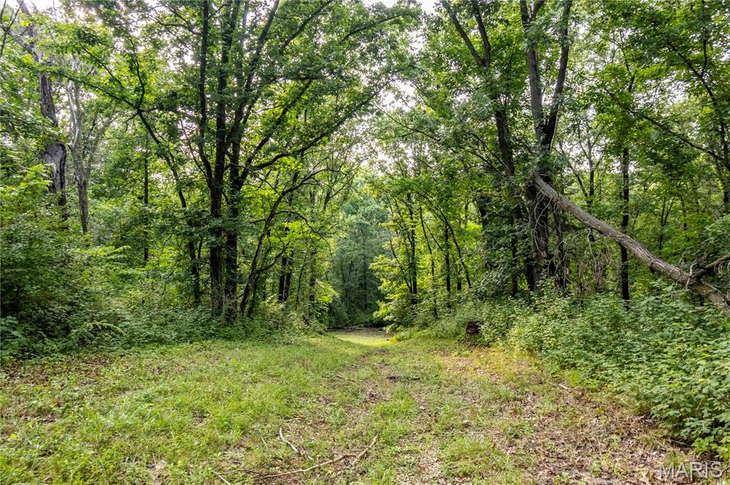 0 Mo-81 Kahoka, MO 63445 - Photo 25 of 77