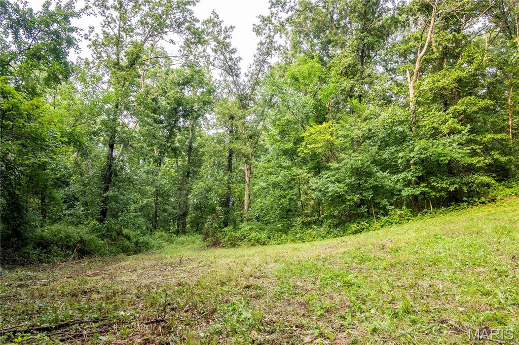 0 Mo-81 Kahoka, MO 63445 - Photo 26 of 77