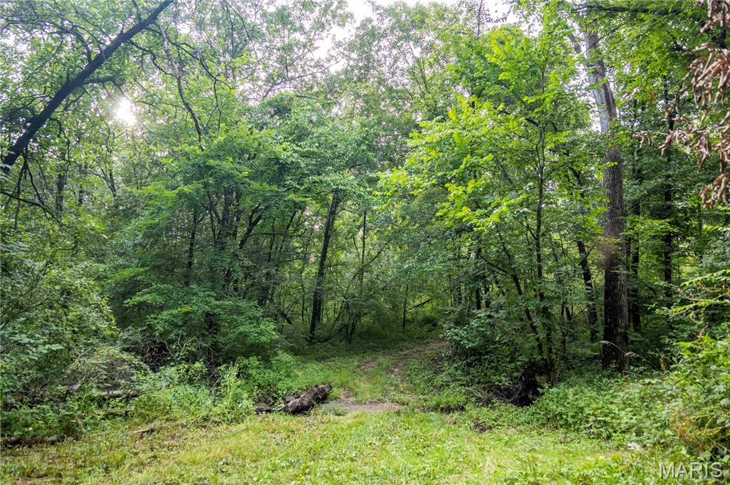 0 Mo-81 Kahoka, MO 63445 - Photo 27 of 77