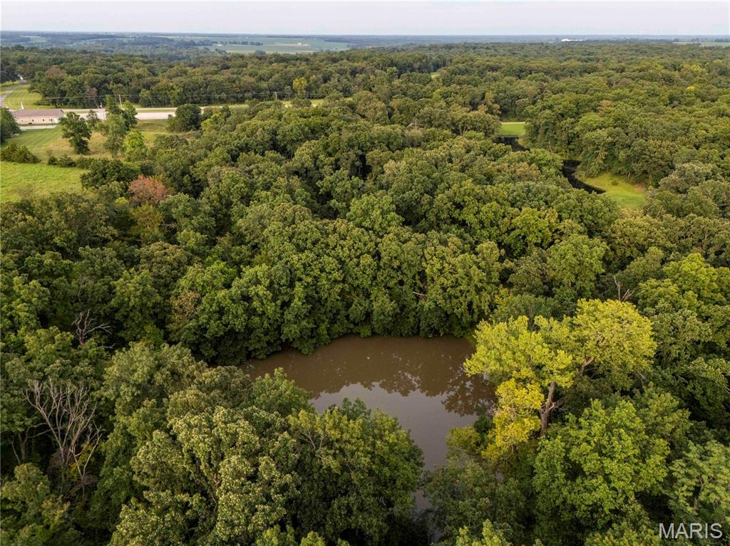 0 Mo-81 Kahoka, MO 63445 - Photo 29 of 77