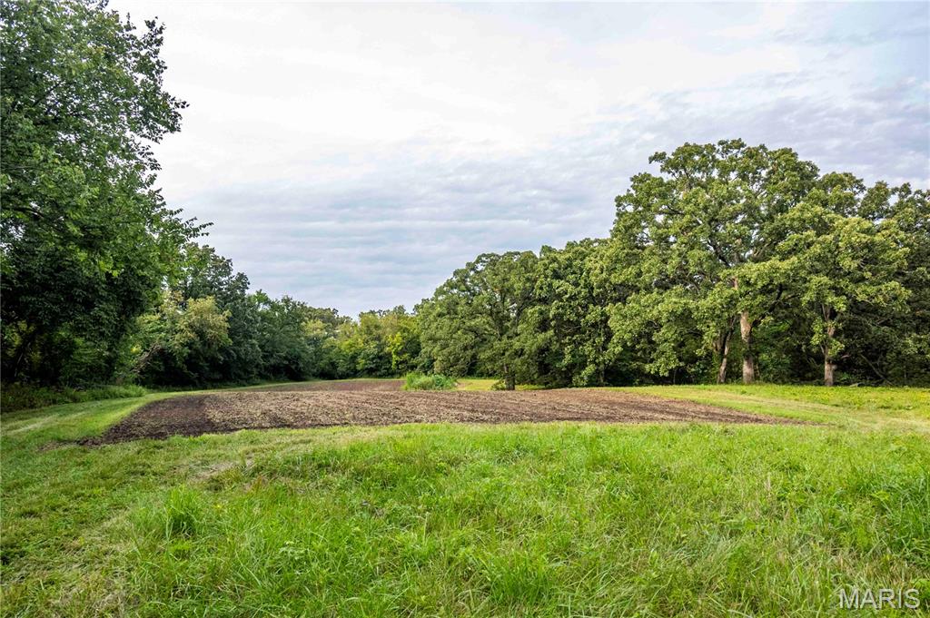 0 Mo-81 Kahoka, MO 63445 - Photo 42 of 77