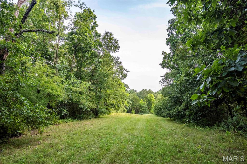 0 Mo-81 Kahoka, MO 63445 - Photo 45 of 77