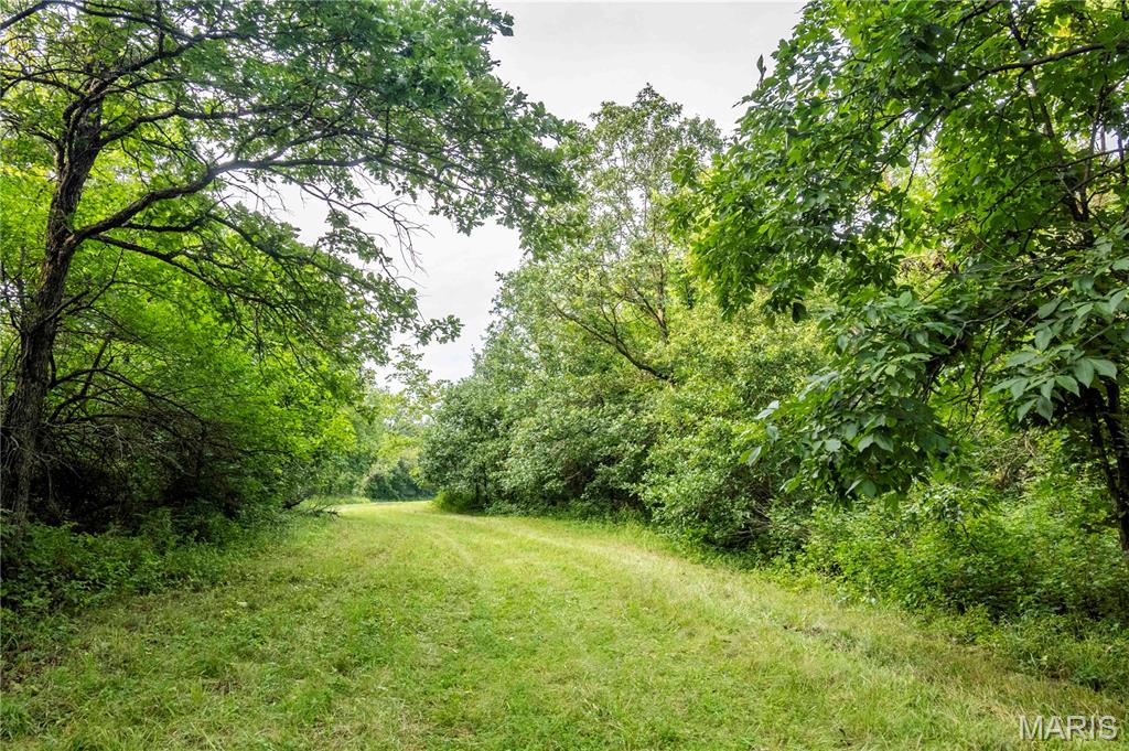 0 Mo-81 Kahoka, MO 63445 - Photo 46 of 77