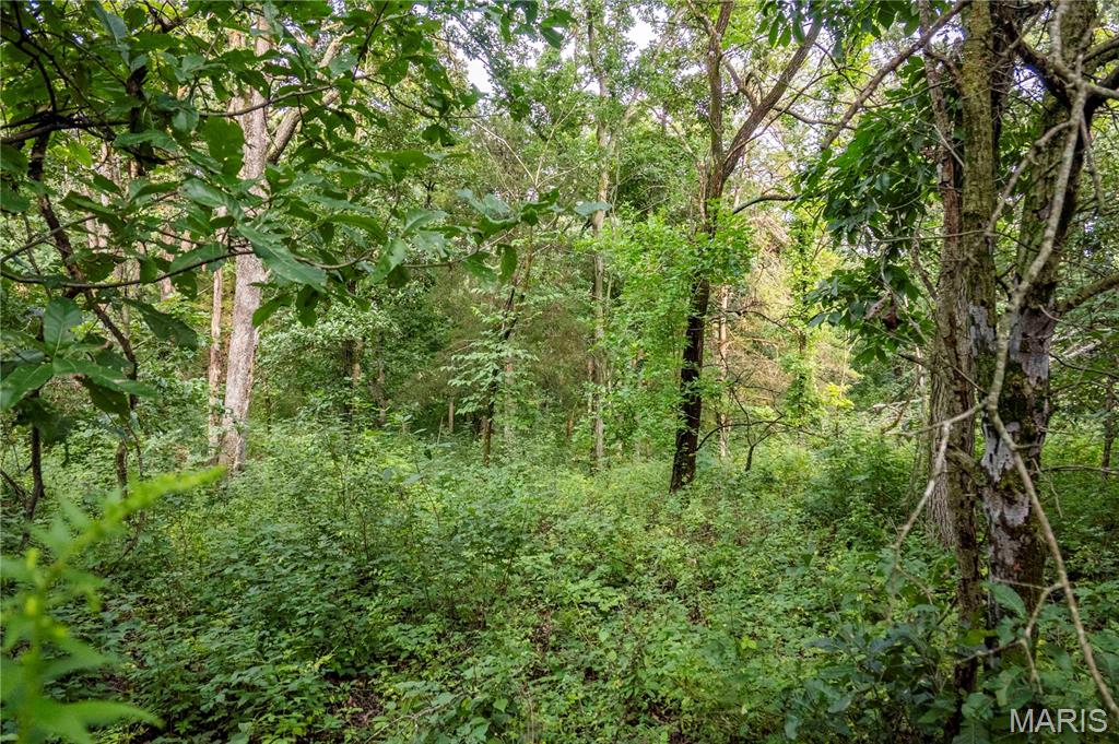 0 Mo-81 Kahoka, MO 63445 - Photo 47 of 77