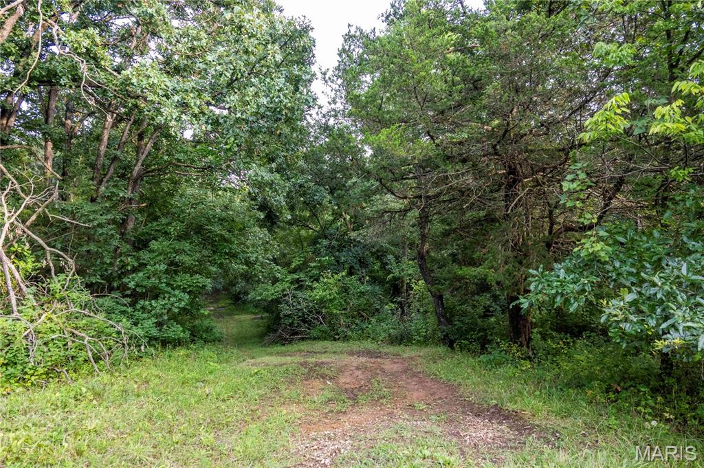 0 Mo-81 Kahoka, MO 63445 - Photo 48 of 77