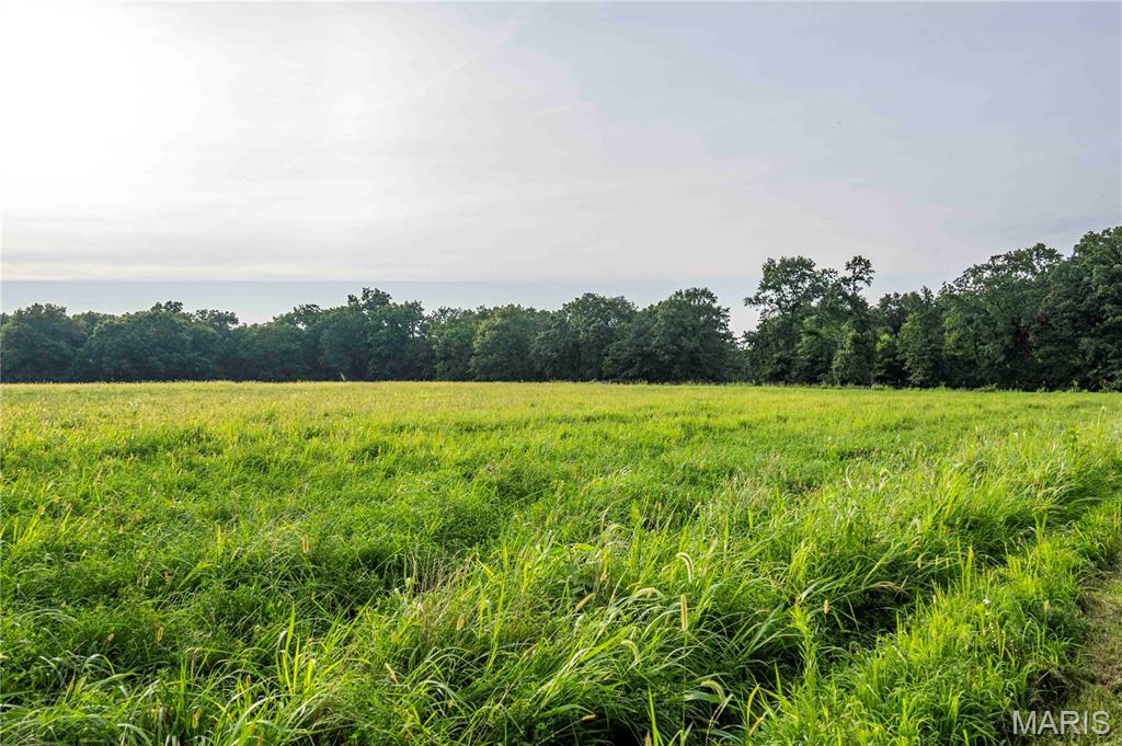0 Mo-81 Kahoka, MO 63445 - Photo 49 of 77