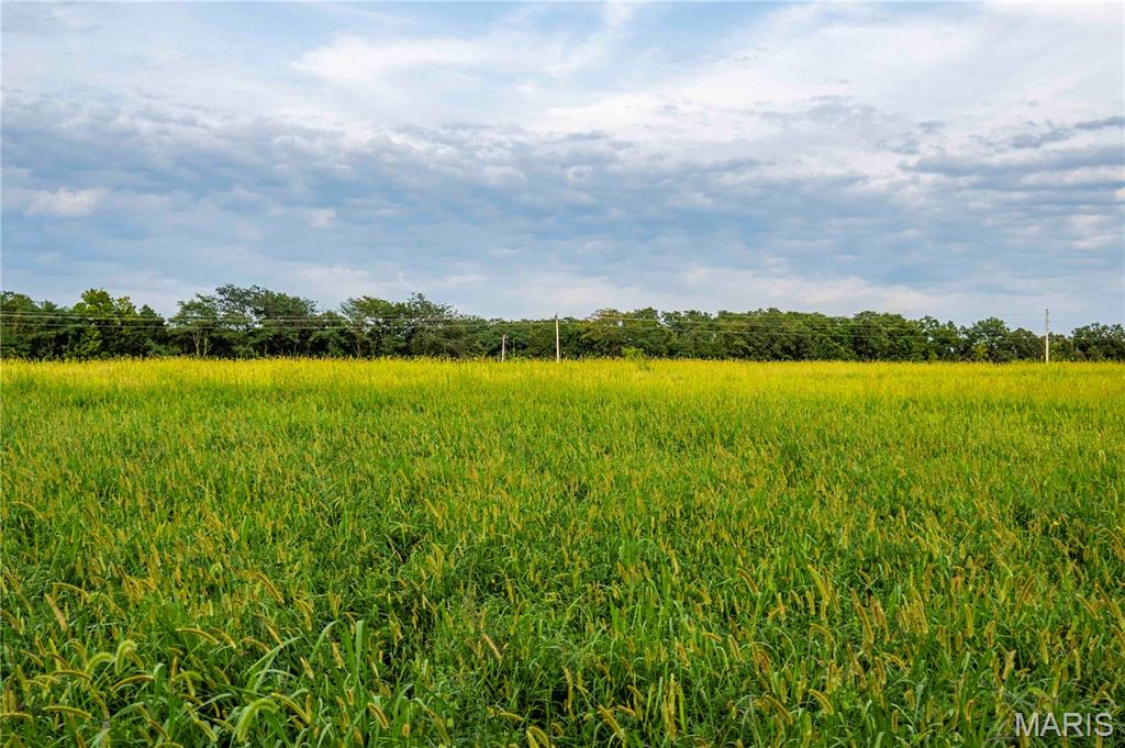 0 Mo-81 Kahoka, MO 63445 - Photo 57 of 77