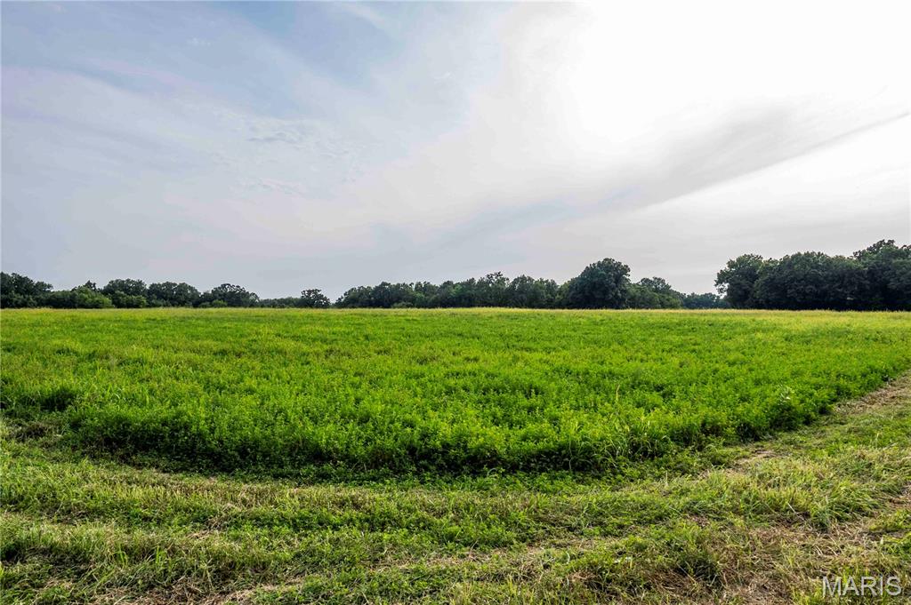 0 Mo-81 Kahoka, MO 63445 - Photo 6 of 77