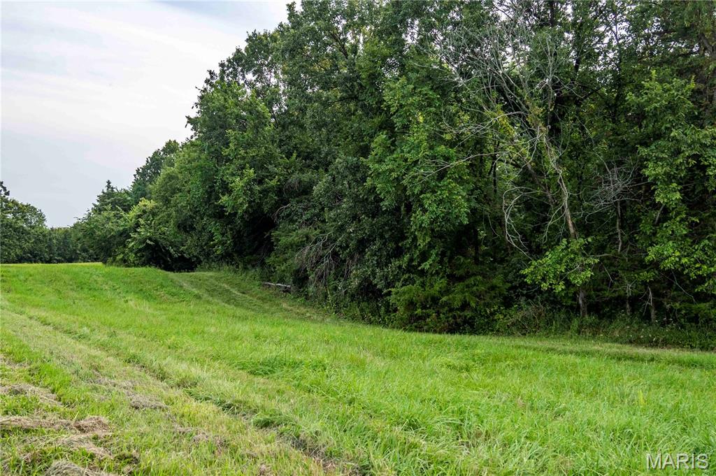 0 Mo-81 Kahoka, MO 63445 - Photo 61 of 77