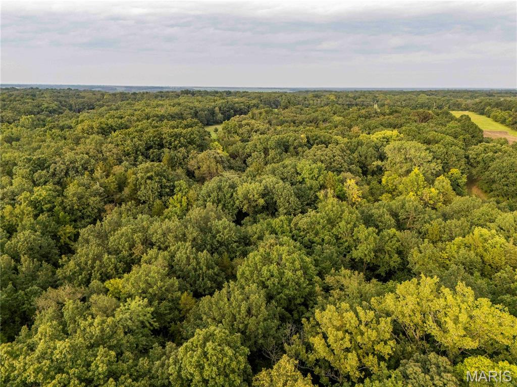 0 Mo-81 Kahoka, MO 63445 - Photo 66 of 77