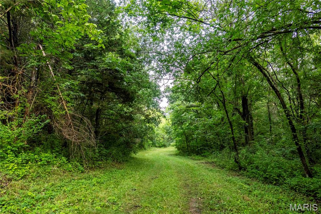 0 Mo-81 Kahoka, MO 63445 - Photo 67 of 77