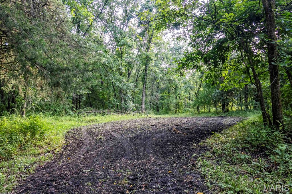 0 Mo-81 Kahoka, MO 63445 - Photo 68 of 77