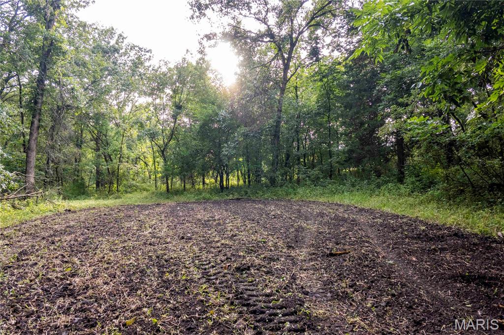 0 Mo-81 Kahoka, MO 63445 - Photo 69 of 77