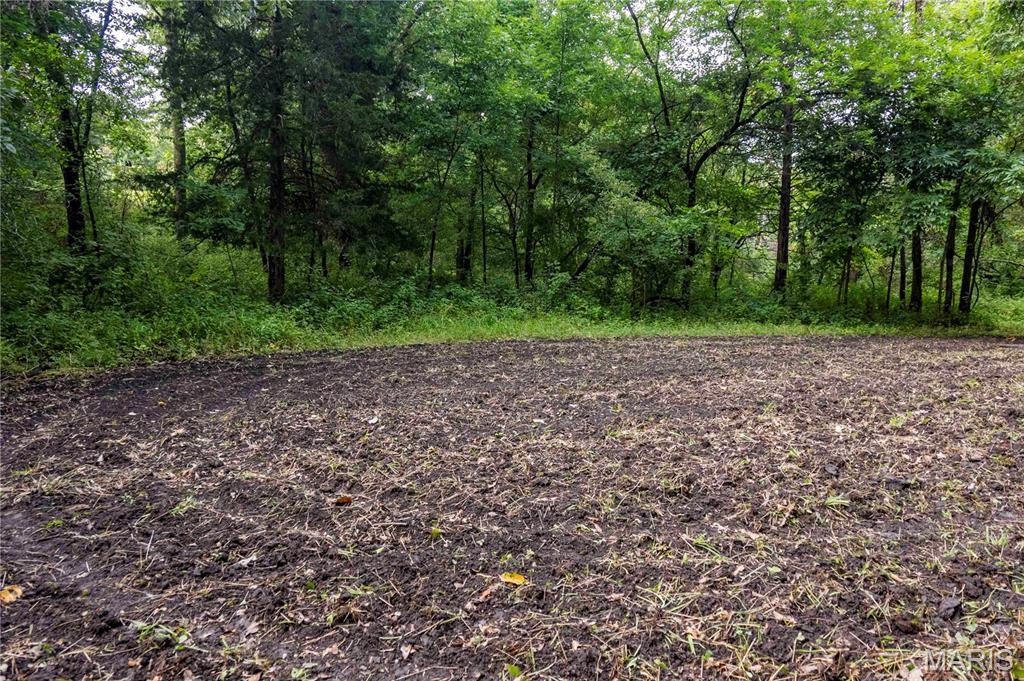 0 Mo-81 Kahoka, MO 63445 - Photo 70 of 77