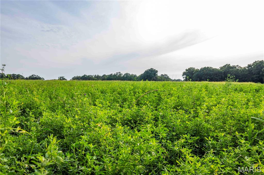 0 Mo-81 Kahoka, MO 63445 - Photo 7 of 77