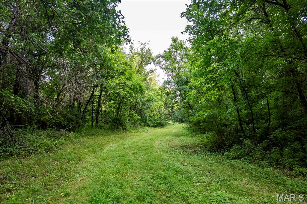 0 Mo-81 Kahoka, MO 63445 - Photo 75 of 77