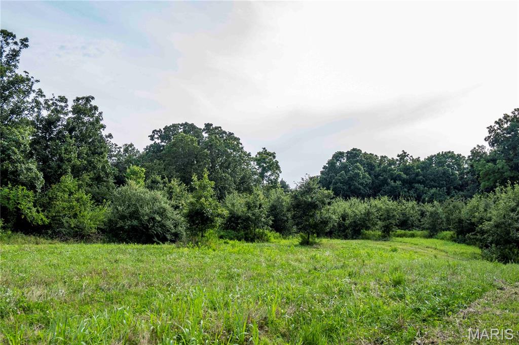 0 Mo-81 Kahoka, MO 63445 - Photo 76 of 77