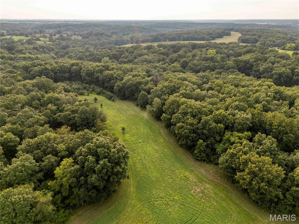 0 Mo-81 Kahoka, MO 63445 - Photo 9 of 77