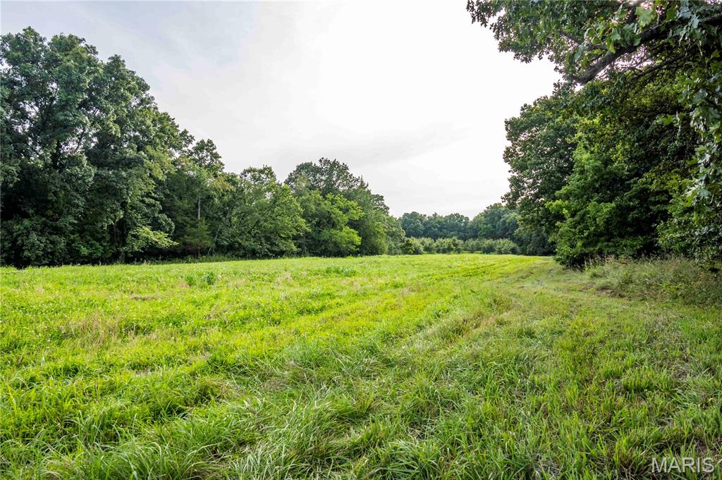 0 Mo-81 Kahoka, MO 63445 - Photo 10 of 77