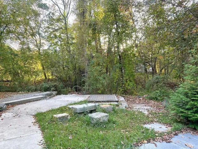 a view of a backyard