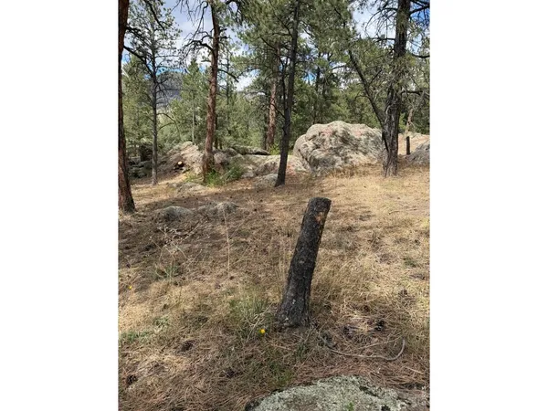 $499,000 | 8 Estes Park Estates Drive, Lyons, CO 80540