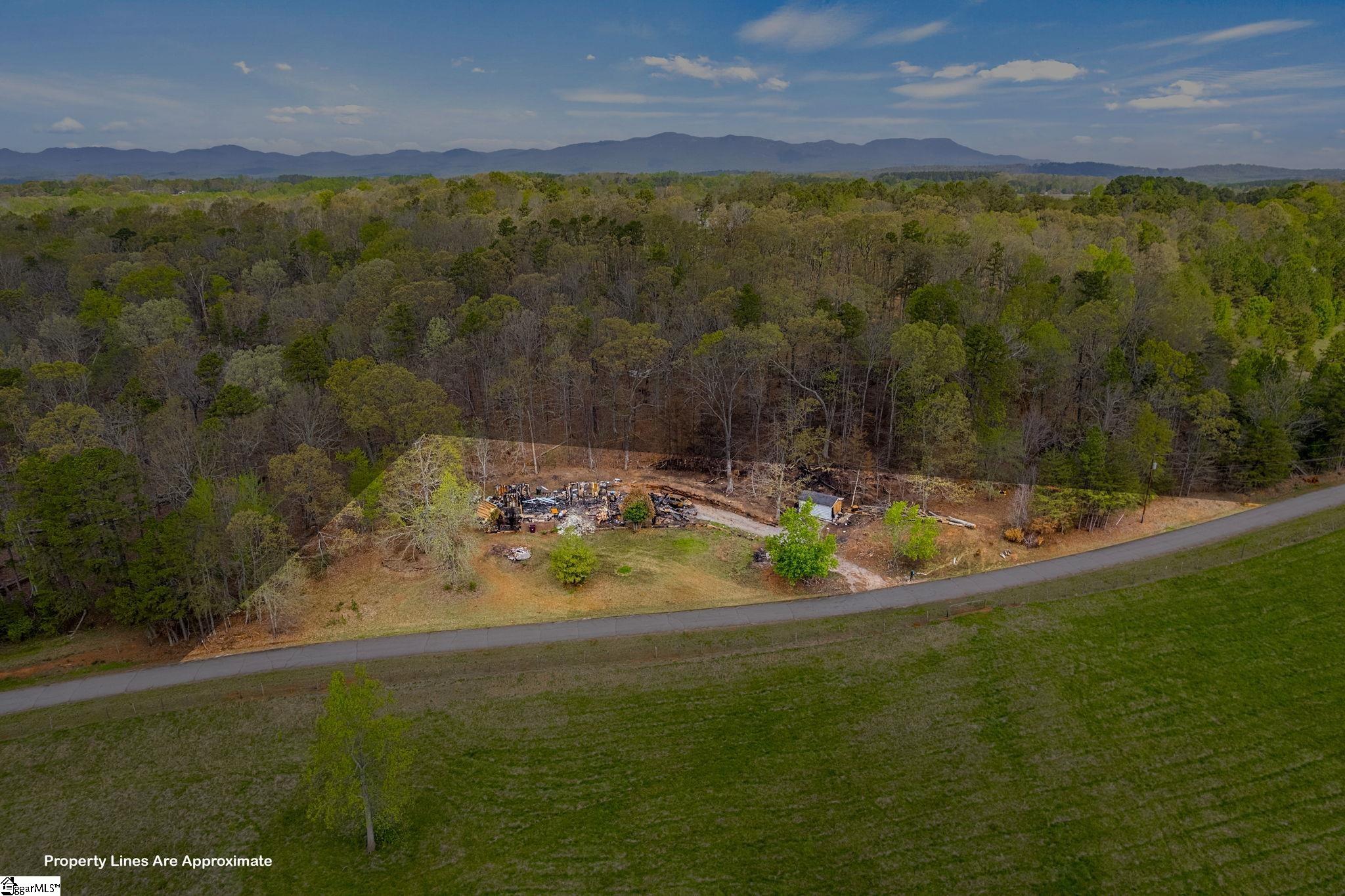 371 Hayes Road Taylors, SC 29687 - Photo 3 of 10