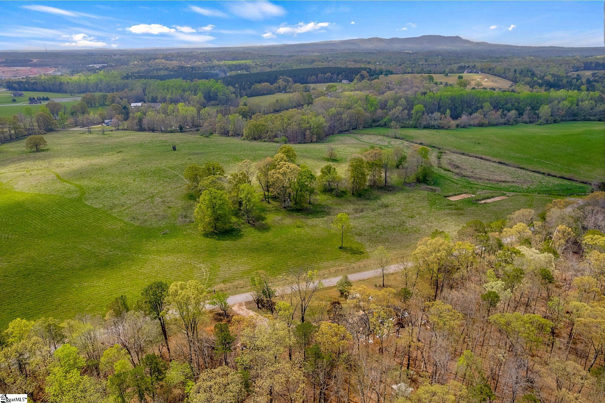 371 Hayes Road Taylors, SC 29687 - Photo 10 of 10