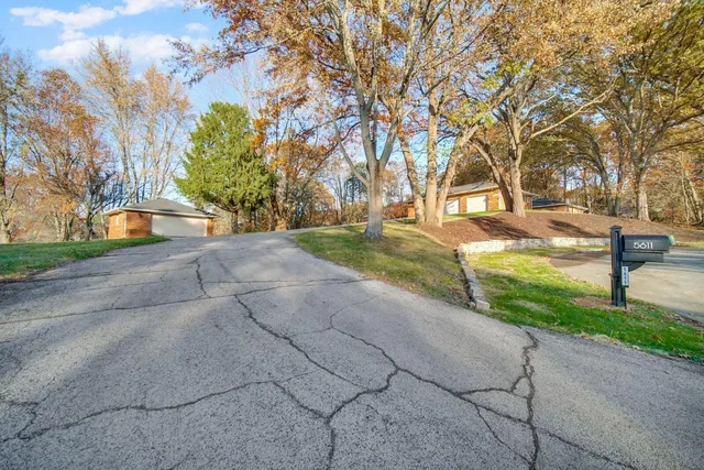 a view of a yard with plants and trees