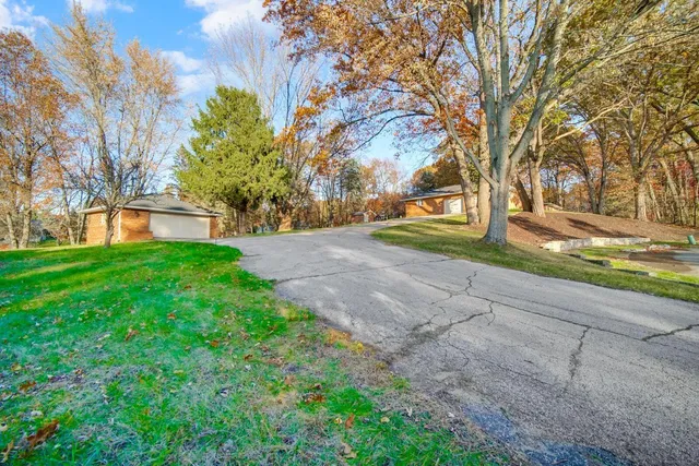 a view of yard with tree in front of it