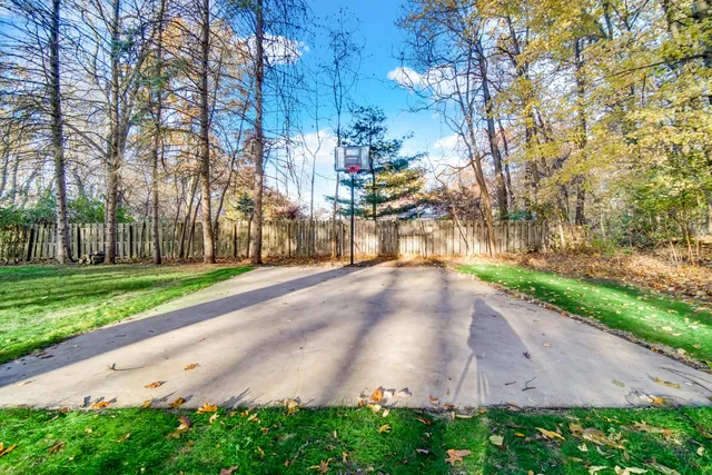 a view of a yard with trees