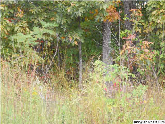 Rocky Road, Unit 58 Sylacauga, AL 35151 - Photo 6 of 7