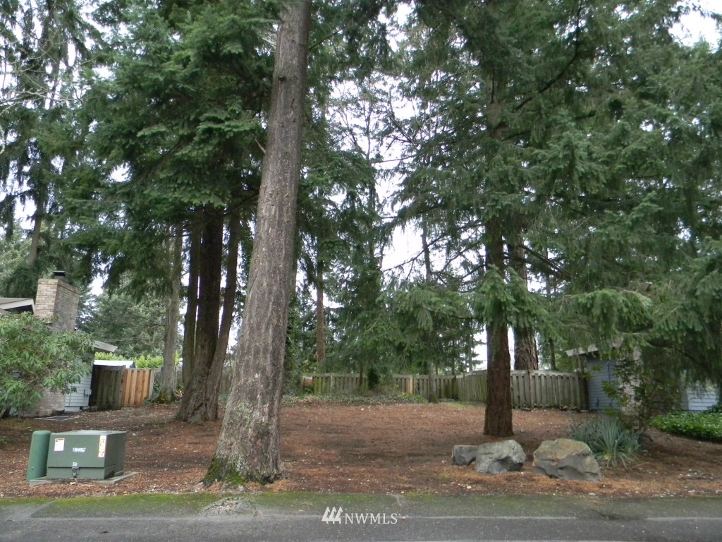 8327-8375 Phillips Road Southwest Lakewood, WA 98498 - Photo 22 of 23 a view of a road with trees