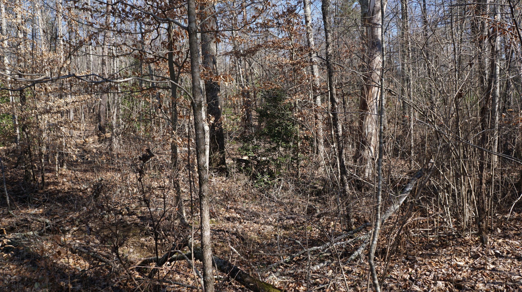 677 Al Goss Road Crossville, TN 38571 - Photo 11 of 18 Gallery Image 11