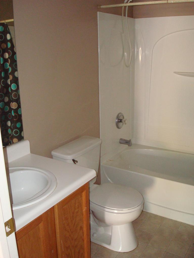16175 West Redfield Road Surprise, AZ 85379 - Photo 6 of 8 Guest Bath