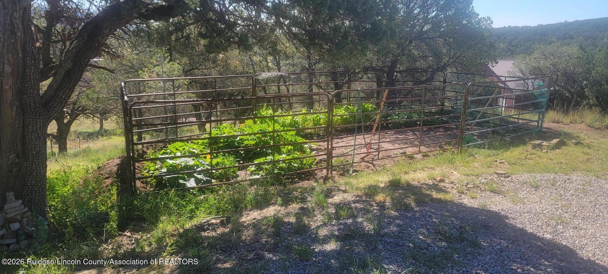 111 Ranchmans Camp Road Capitan, NM 88316 - Photo 64 of 72 Gallery Image 64