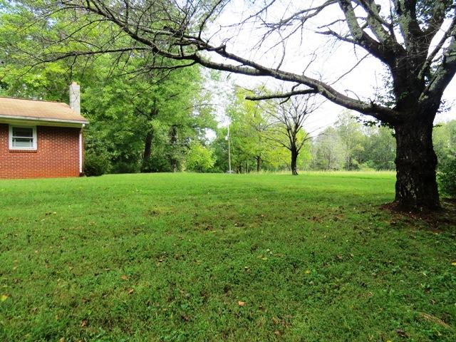 124 Pony Ridge Road Bassett, VA 24055 - Photo 40 of 41 a view of a trees in a yard