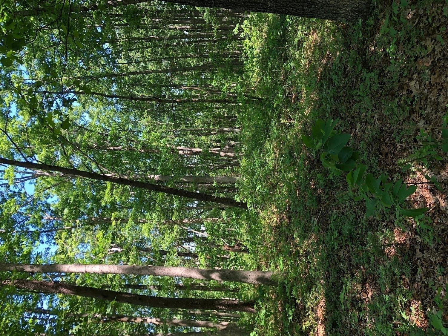 2 Bark Road Waco, KY 40385 - Photo 1 of 1 Photo 1