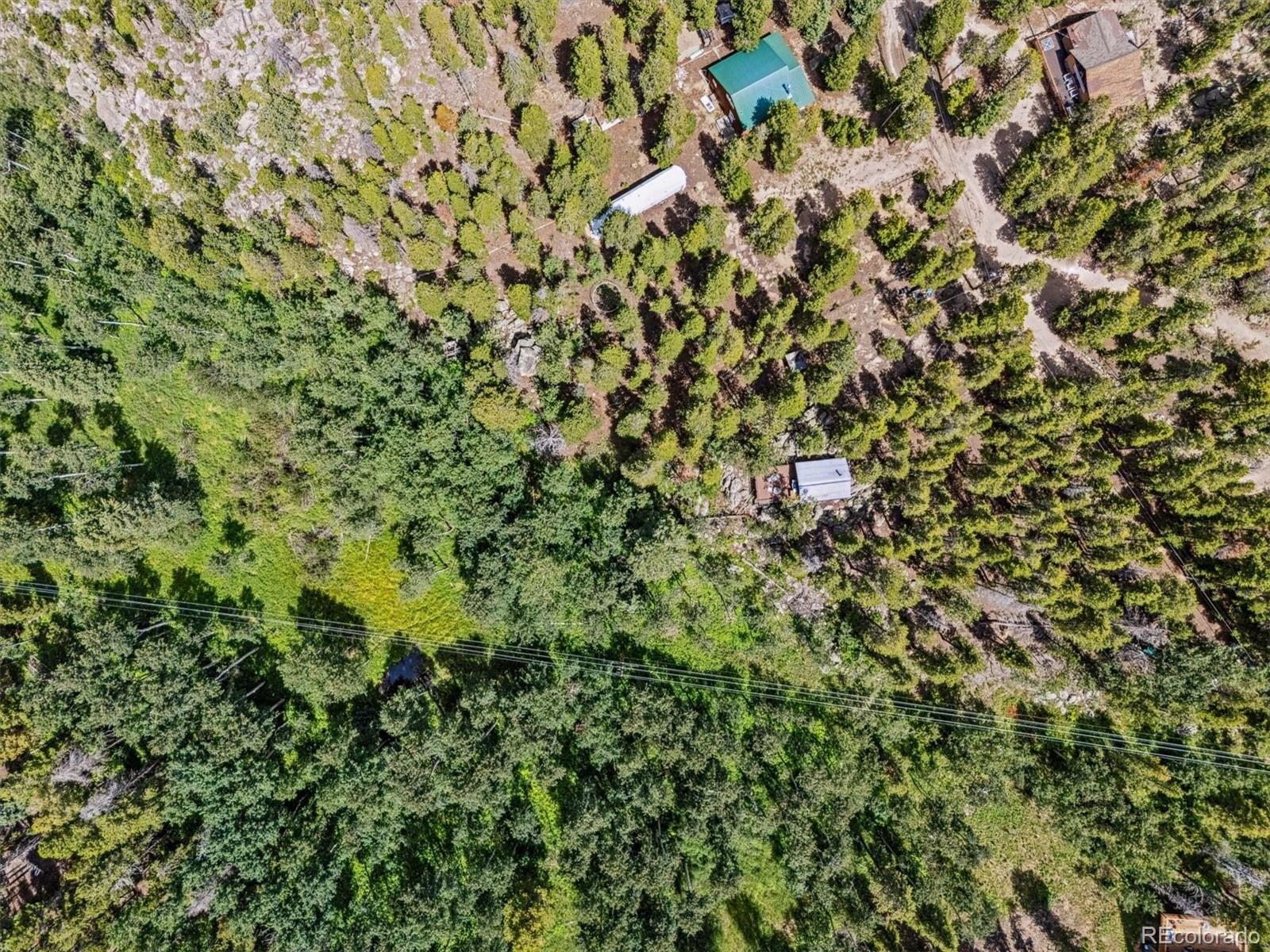 306 Olde Carter Lake Road Golden, CO 80403 - Photo 20 of 24 a view of a plant in a garden