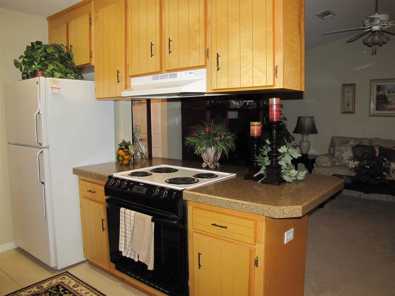 4551 Struth Lane Pace, FL 32571 - Photo 11 of 35 Gallery Image 11