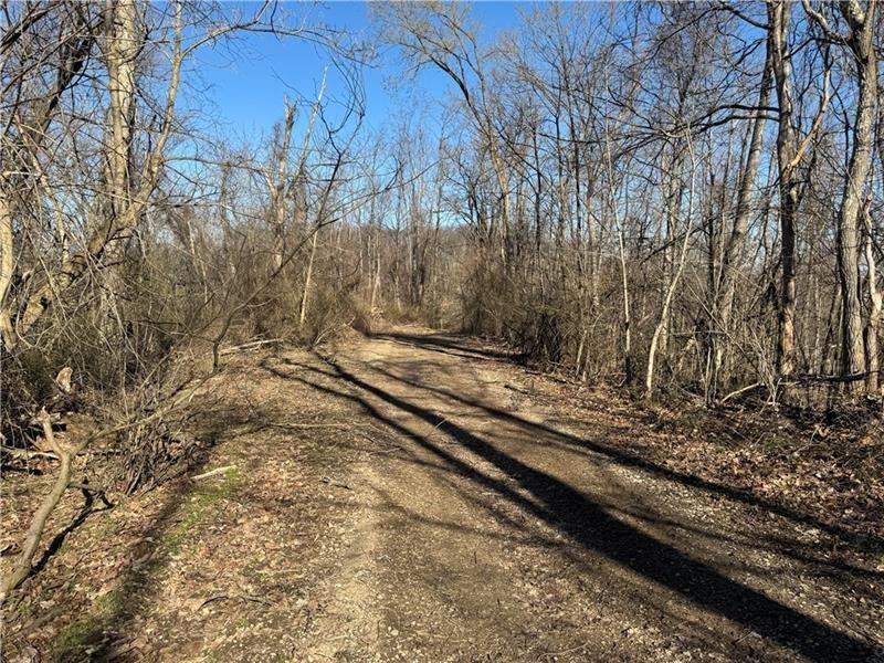 0 Fallen Timber Avella, PA 15312 - Photo 13 of 13 a view of a yard
