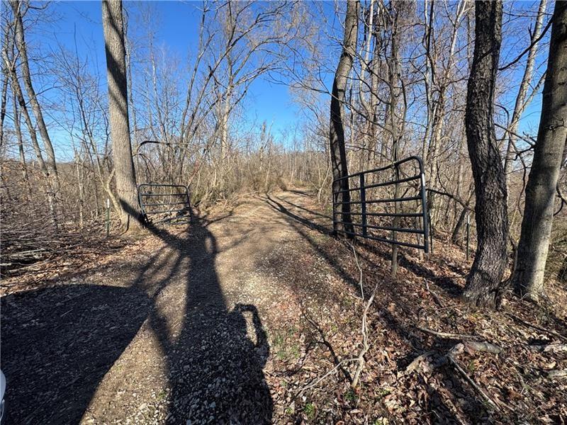 0 Fallen Timber Avella, PA 15312 - Photo 2 of 13 a view of yard