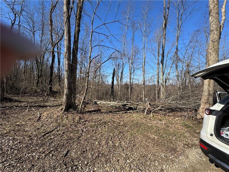 0 Fallen Timber Avella, PA 15312 - Photo 3 of 13 a backyard of a house with lots of green space