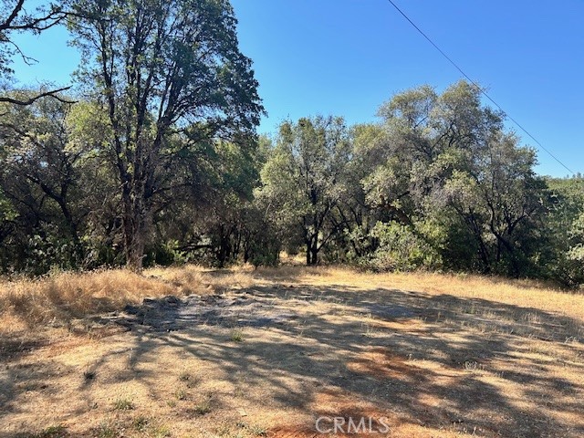 1403 Forbestown Road Oroville, CA 95966 - Photo 13 of 26 a view of empty space with large trees