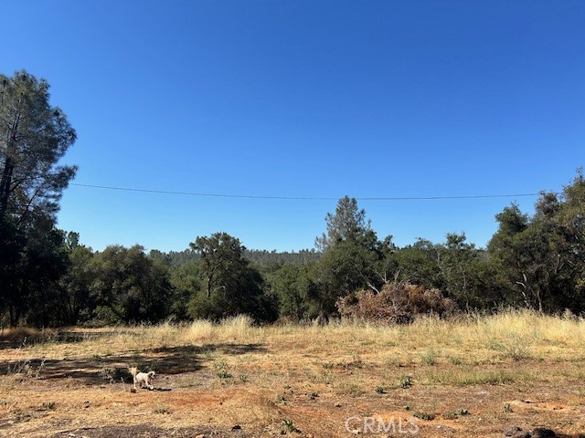1403 Forbestown Road Oroville, CA 95966 - Photo 16 of 26 a view of ocean view