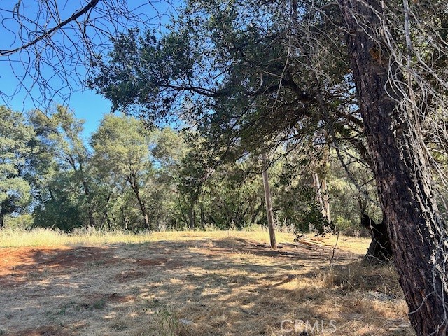 1403 Forbestown Road Oroville, CA 95966 - Photo 17 of 26 a view of a yard with a tree