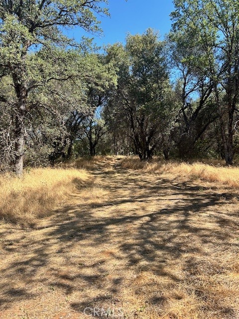 1403 Forbestown Road Oroville, CA 95966 - Photo 18 of 26 a view of water and mountain view