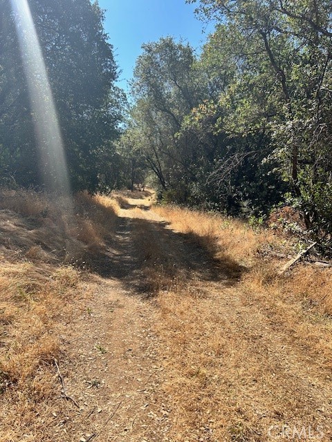 1403 Forbestown Road Oroville, CA 95966 - Photo 19 of 26 a view of a yard with a tree