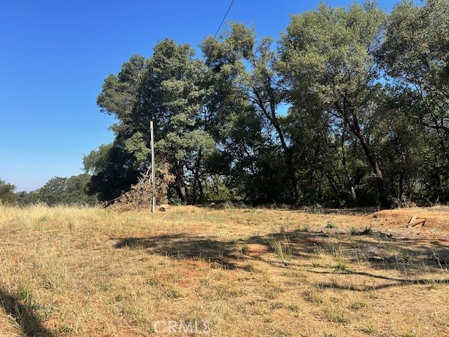 1403 Forbestown Road Oroville, CA 95966 - Photo 22 of 26 a view of a yard covered with snow