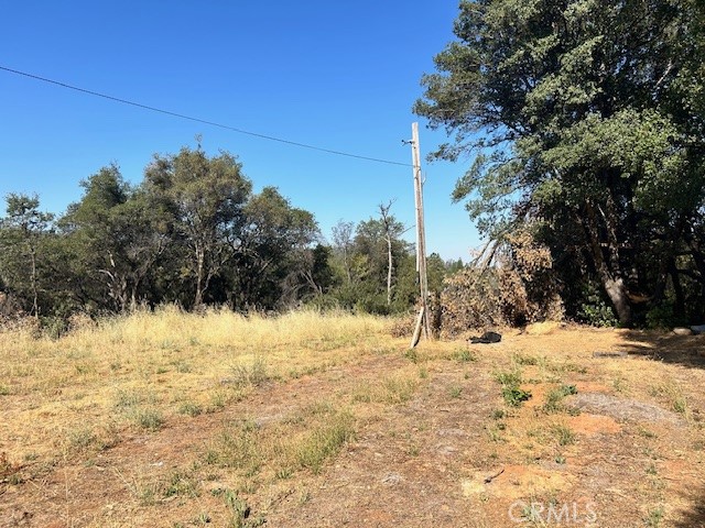 1403 Forbestown Road Oroville, CA 95966 - Photo 24 of 26 a view of side of snow with trees in the background